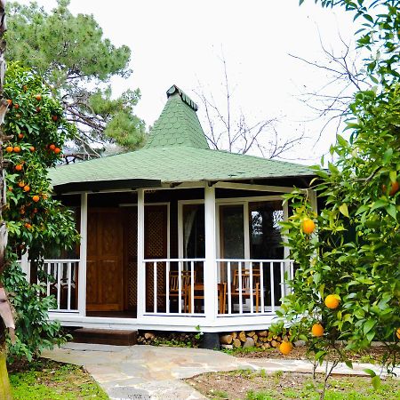 Arcadia Hotel Çıralı Eksteriør bilde